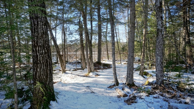 98 Kimball Rd, Harrison, ME 04040 - photo 34