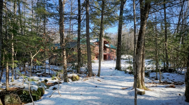 view of yard layered in snow