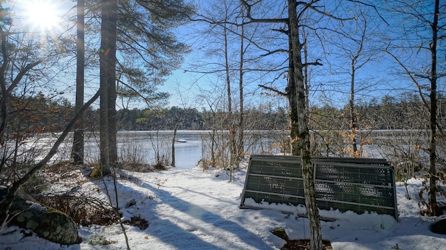 view of yard covered in snow