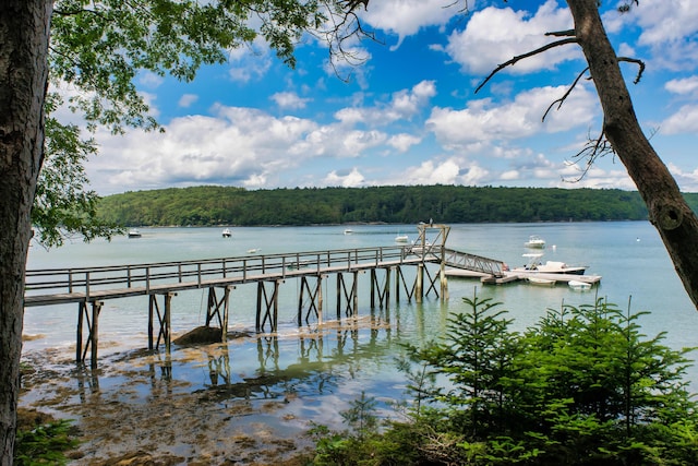 dock area with a water view