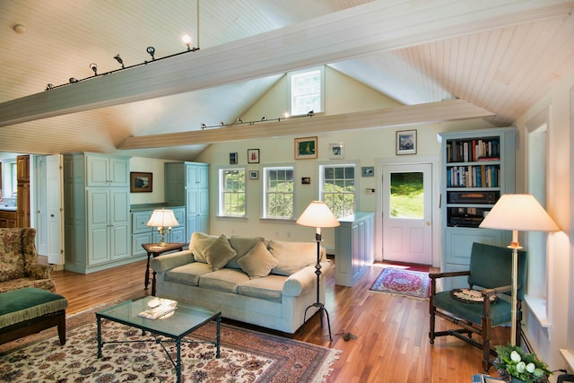 living room featuring a wealth of natural light, light hardwood / wood-style flooring, and vaulted ceiling