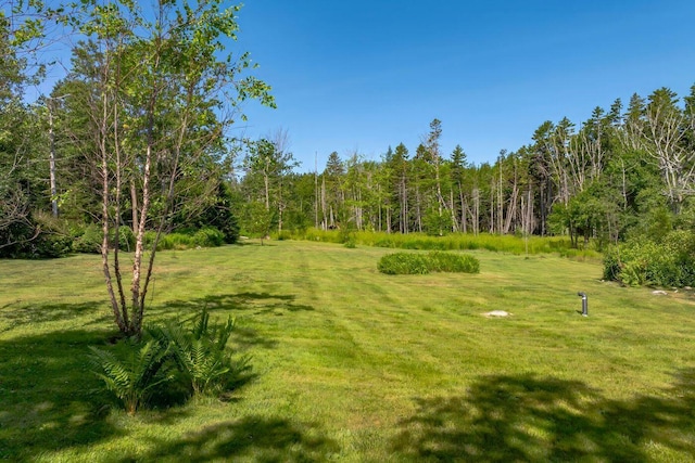 11 Bunkers Ledge Ln, Cranberry Isles, ME 04625 - view of yard featuring a view of trees