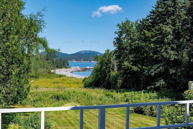 property view of water featuring a mountain view