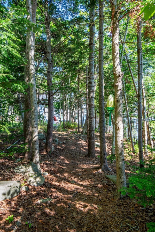 LTS23A Birch Is, South Bristol, ME 04568 - view of undeveloped land