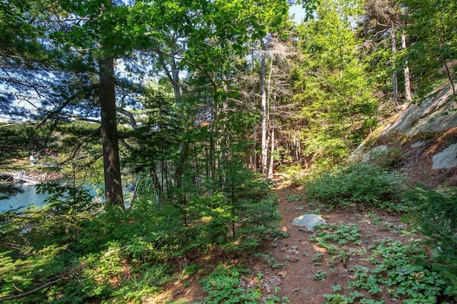 LTS23A Birch Is, South Bristol, ME 04568 - view of wooded area