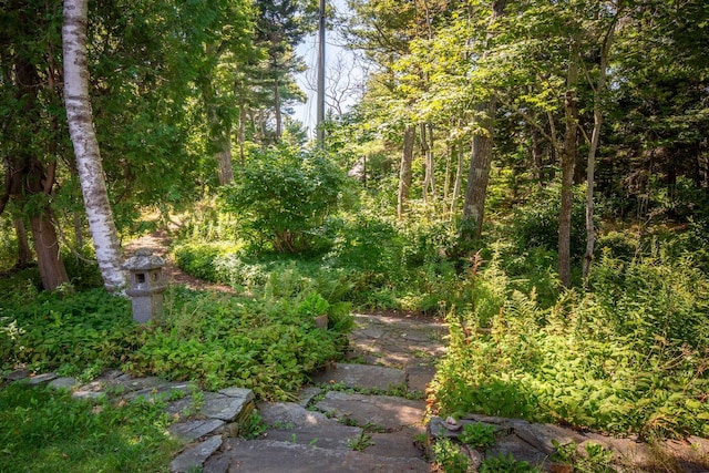 LTS23A Birch Is, South Bristol, ME 04568 - view of yard