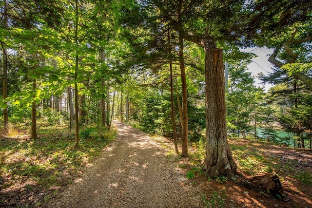 LTS23A Birch Is, South Bristol, ME 04568 - view of street with a forest view