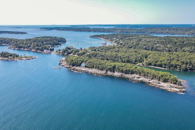 LTS23A Birch Is, South Bristol, ME 04568 - bird's eye view of a large body of water and a forest