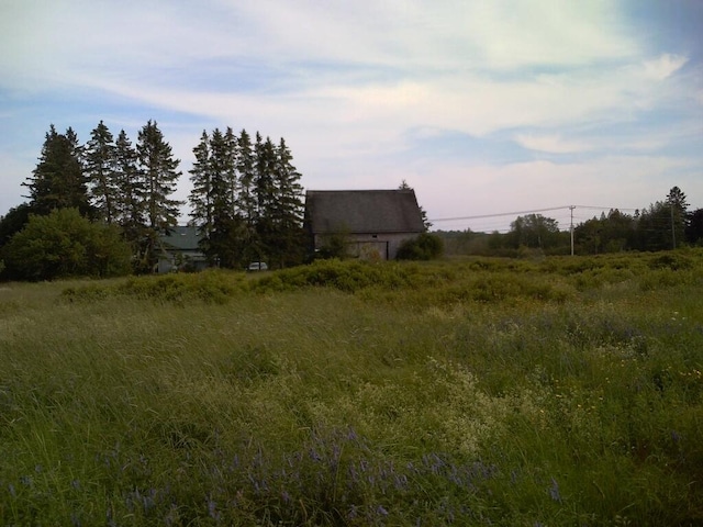 view of local wilderness