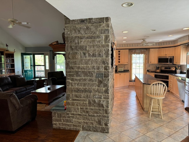 kitchen with ceiling fan, a center island, appliances with stainless steel finishes, and lofted ceiling