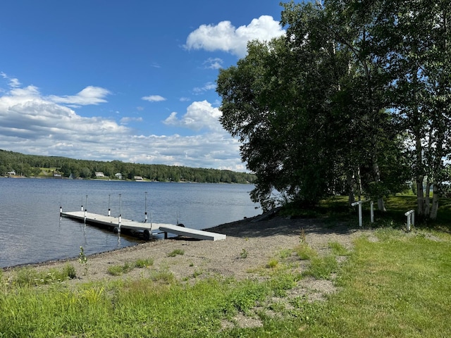 view of dock with a water view