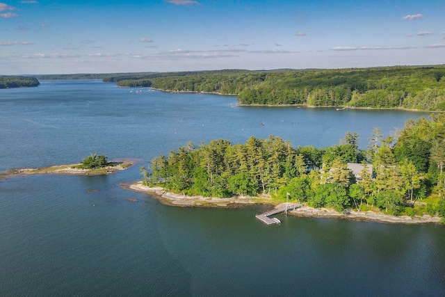 bird's eye view featuring a water view and a view of trees