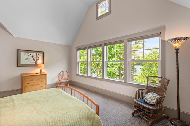 bedroom with carpet and lofted ceiling