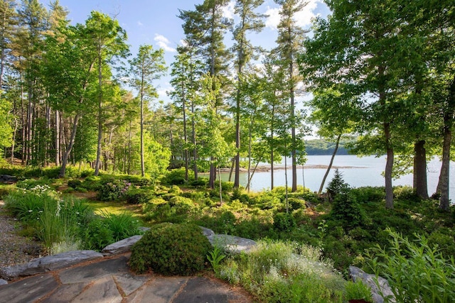 view of home's community featuring a water view