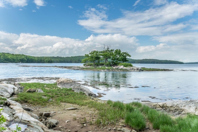 property view of water