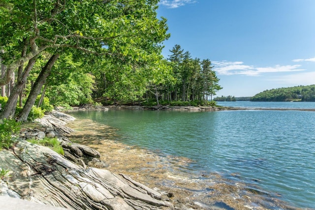 property view of water