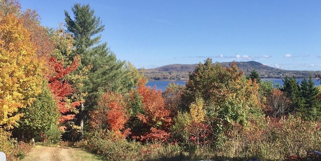 mountain view with a water view