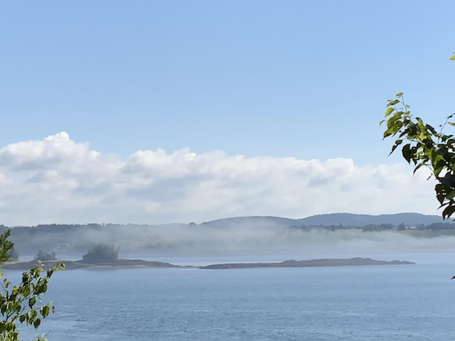 property view of water with a mountain view