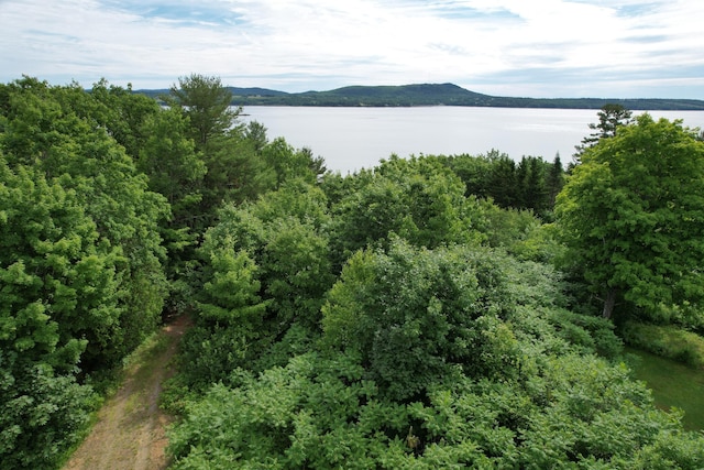 property view of water with a mountain view