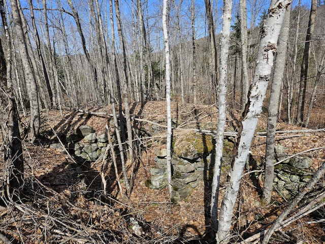 LOT3 Gore Rd, Washington ME, 04574 land for sale