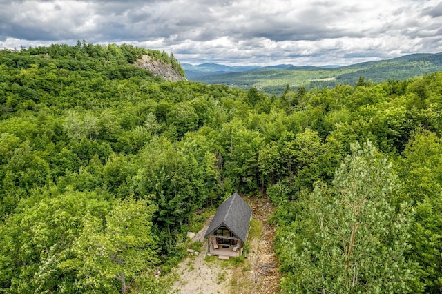 aerial view with a mountain view