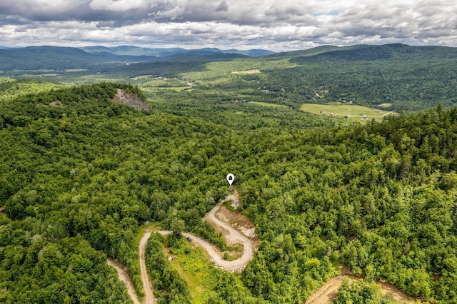 aerial view with a mountain view