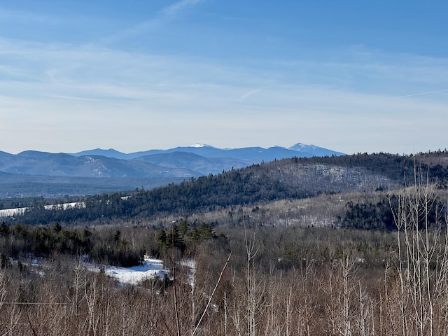 property view of mountains