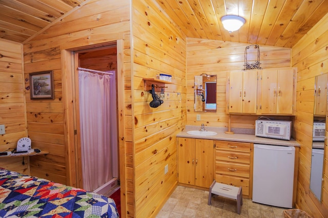 interior space featuring vaulted ceiling and wooden walls