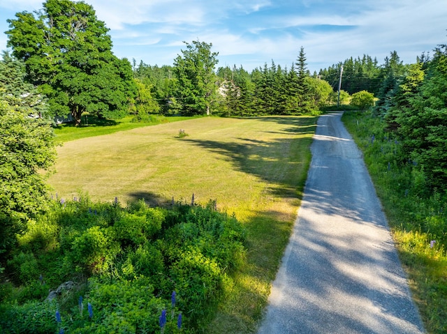 exterior space with a yard