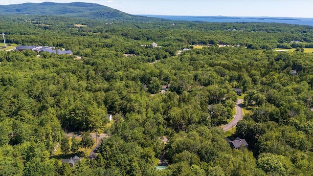 drone / aerial view with a mountain view