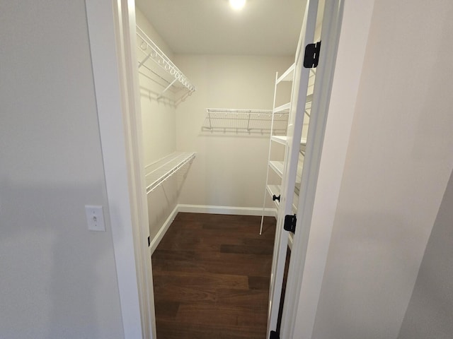 walk in closet featuring wood finished floors