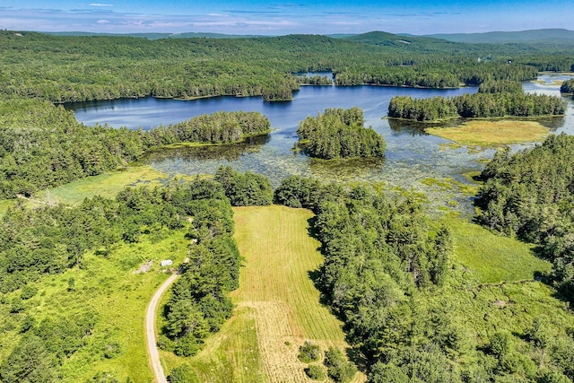 bird's eye view featuring a water and mountain view