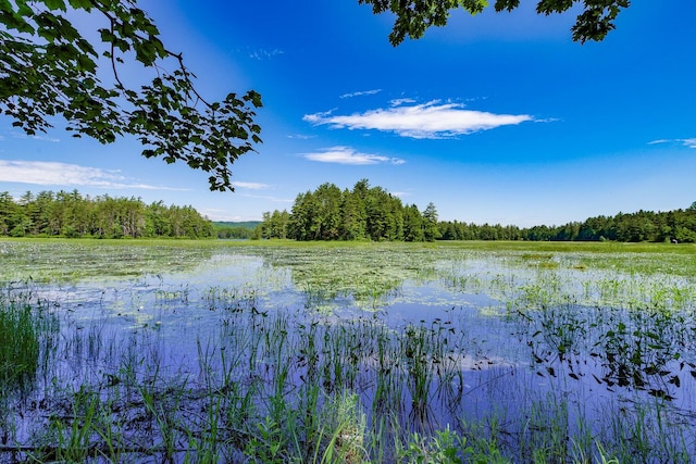 water view