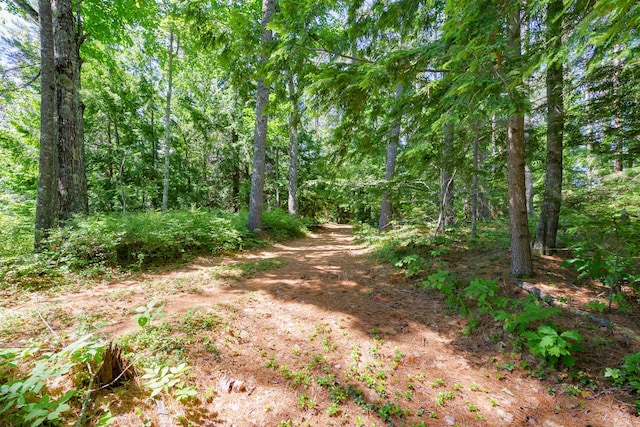 283 Mclain Rd, Liberty, ME 04949 - photo 7