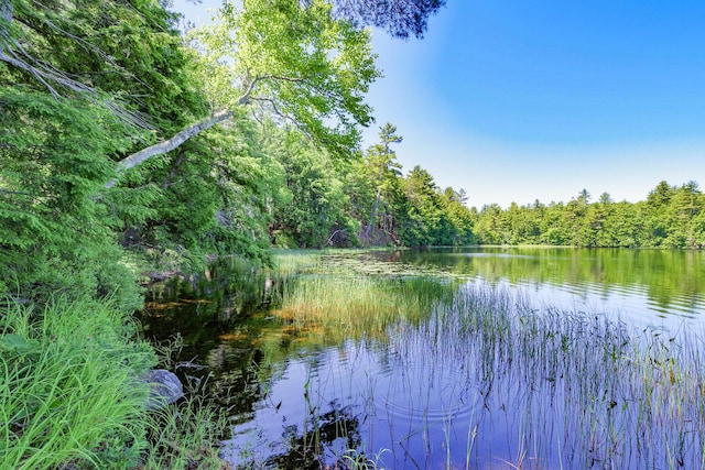 water view