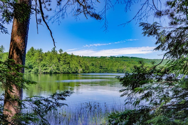 water view