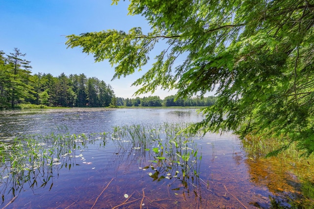 283 Mclain Rd, Liberty, ME 04949 - photo 12