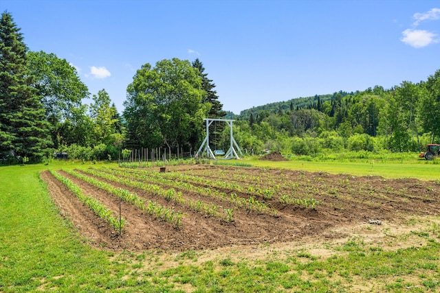 view of yard featuring a rural view