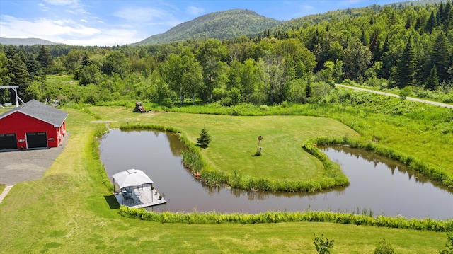 birds eye view of property with a water and mountain view