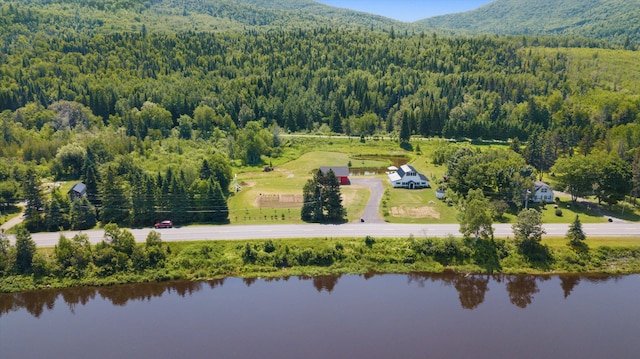 drone / aerial view with a water and mountain view