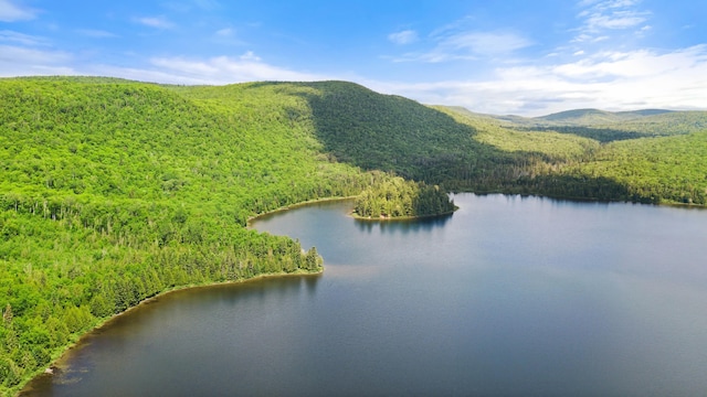 view of water feature featuring a mountain view