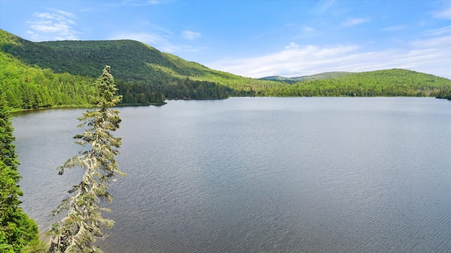 view of water feature with a mountain view