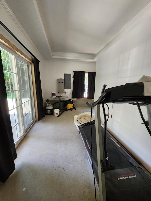 exercise area with a tray ceiling, electric panel, and crown molding