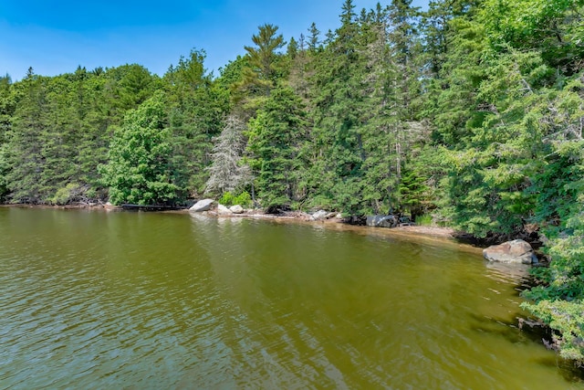 226 Graytown Rd, Sedgwick, ME 04676 - property view of water with a view of trees