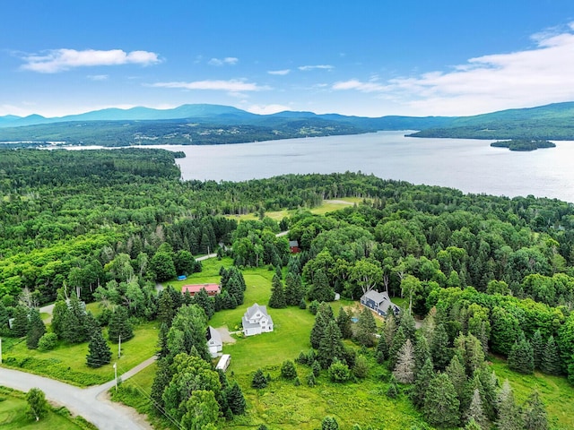 birds eye view of property with a water and mountain view