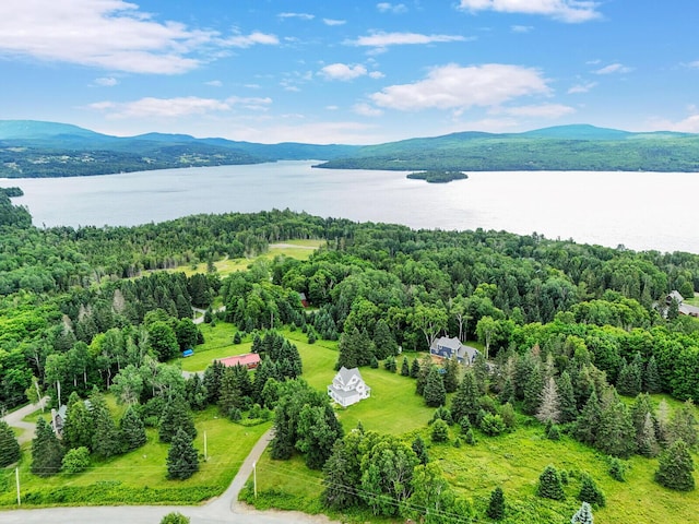 birds eye view of property featuring a water and mountain view