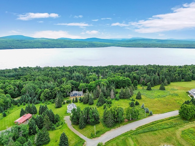 drone / aerial view with a water and mountain view