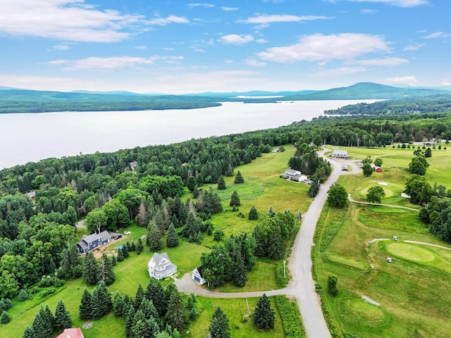 bird's eye view featuring a water and mountain view