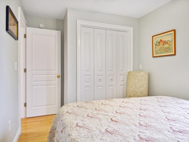 bedroom featuring wood-type flooring and a closet