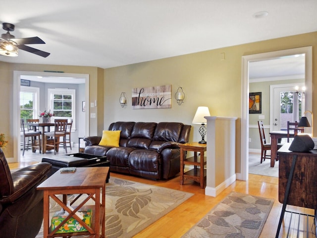 living room featuring ceiling fan, light hardwood / wood-style floors, and crown molding